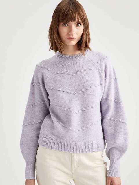 

DeFacto Women Lavender Self-design REGULAR FIT Tricot Pullover