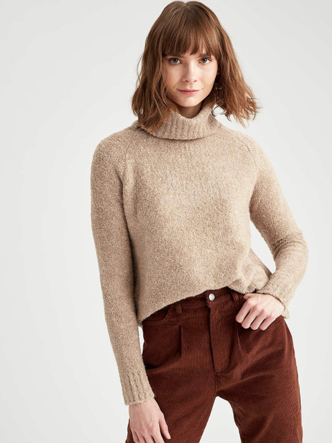 

DeFacto Women Beige Solid Turtle Neck Pullover