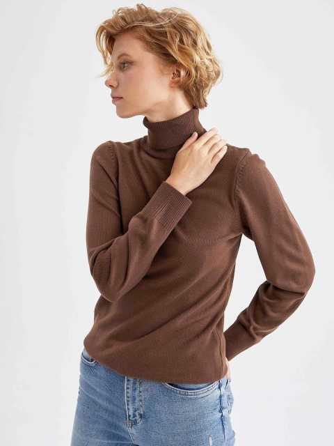 

DeFacto Women Brown Pullover