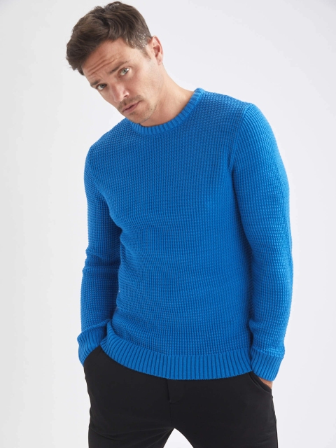 

DeFacto Men Blue Slim Fit Pullover