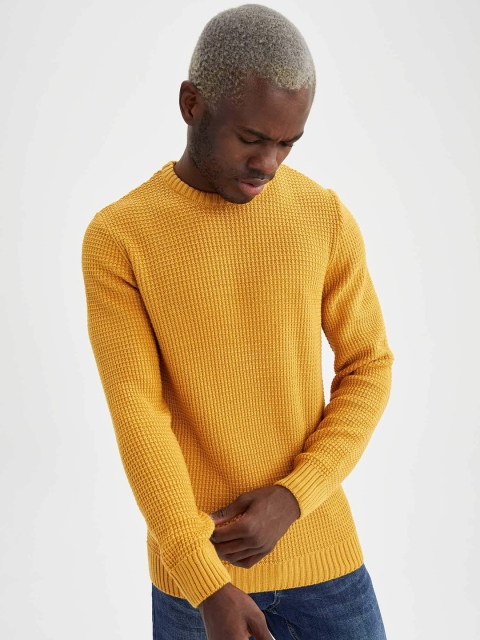 

DeFacto Men Yellow Basic SLIM FIT Tricot Pullover