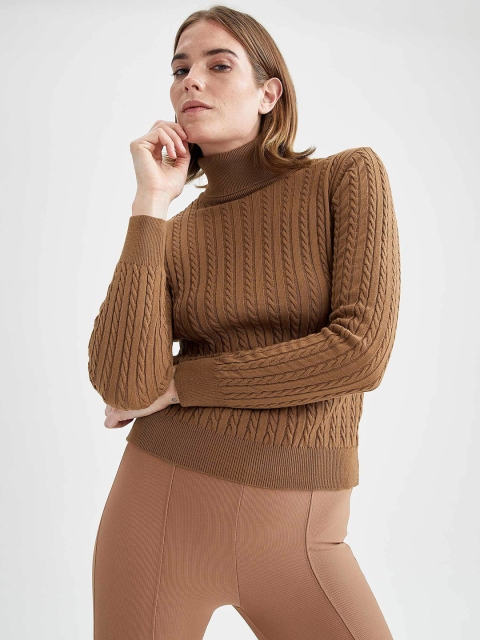 

DeFacto Women Brown Solid Fitted Pullover