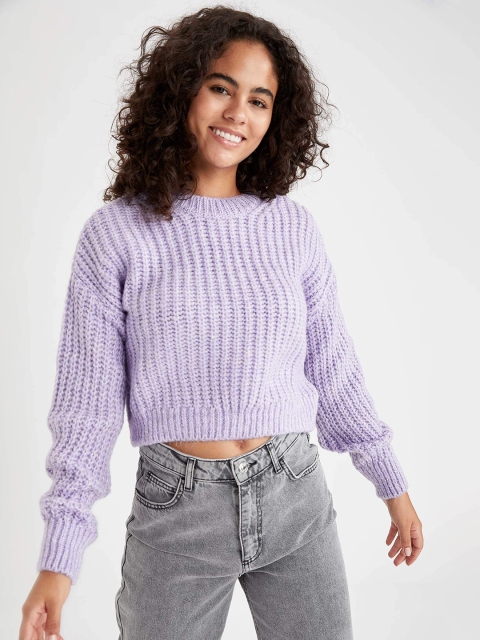 

DeFacto Women Purple Self Designed Round Neck Crop Pullover