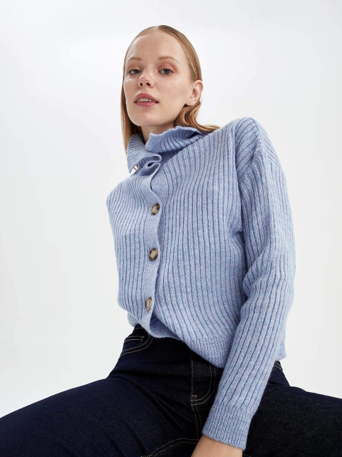 

DeFacto Women Blue Striped Cardigan