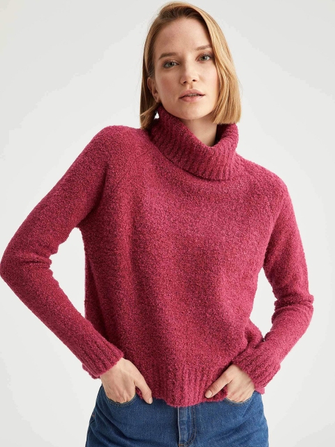 

DeFacto Women Fuchsia Solid Turtle Neck Pullover