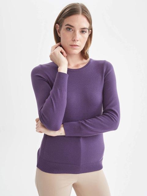 

DeFacto Women Purple Solid Pullover