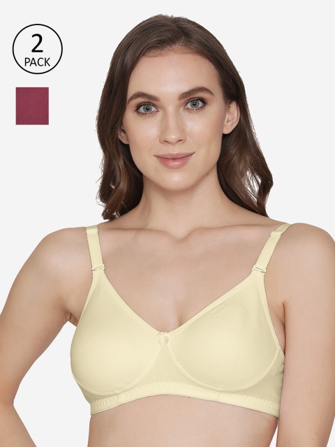

Kalyani Pack Of 2 Maroon & Cream-Coloured T-shirt Bra