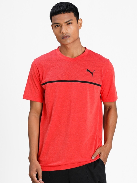 

Puma Men Red & Black Striped T-shirt