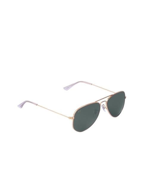 

Floyd Unisex Gold-Toned & Green UV Protected Aviator Sunglasses Mo_Gol_Grn