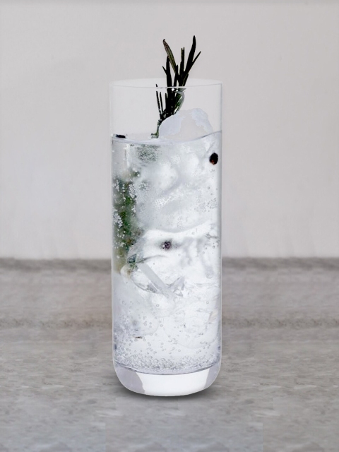 

DARTINGTON Set Of 2 Transparent Solid Handmade Gin Glasses