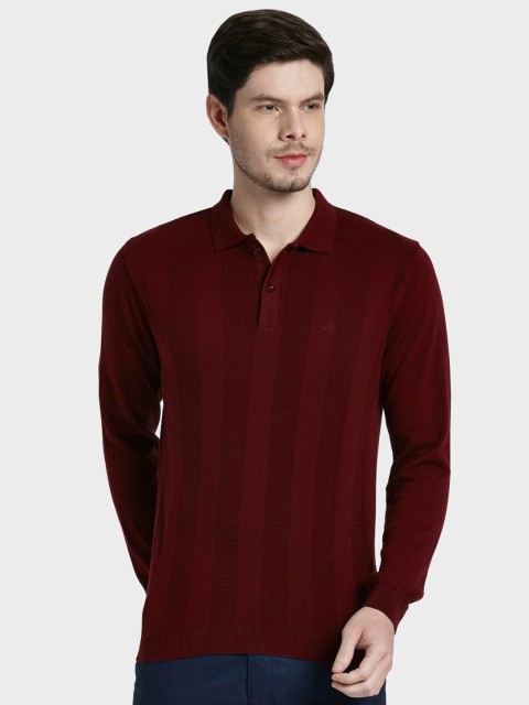 

ColorPlus Men Maroon Polo Collar T-shirt