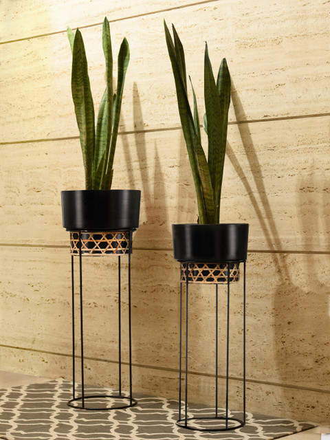 

green girgit Set Of 2 Black & Gold-Toned Solid Planter Stand