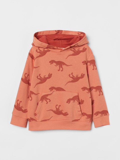 

H&M Boys Orange Printed Hooded Top