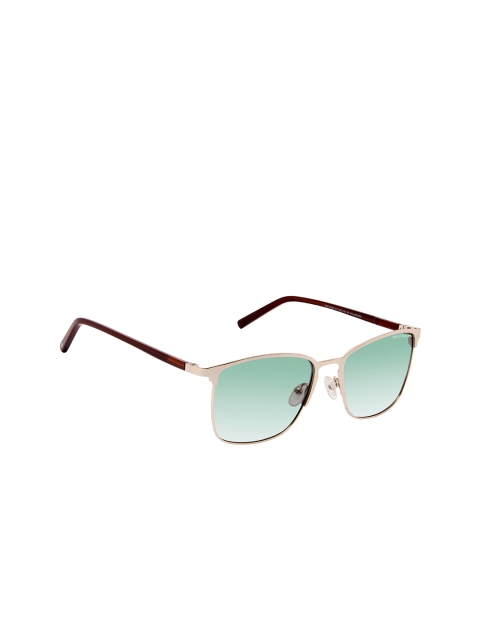 

David Blake Unisex Green Lens & Gold-Toned Wayfarer Sunglasses S-SGDB1991