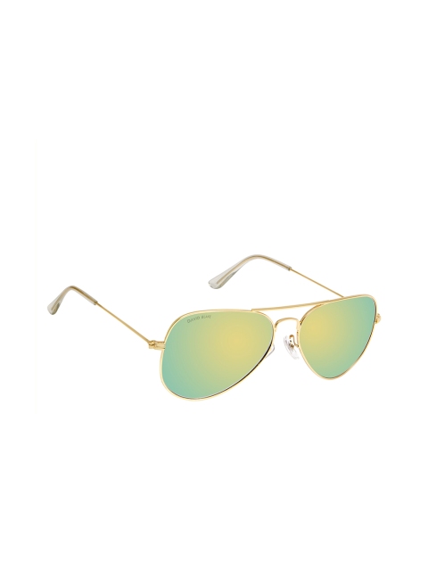

David Blake Adult Green Lens & Gold Aviator Sunglasses with Polarised Lens S-SGDB1509
