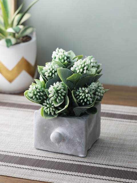 

TAYHAA White & Green Artificial Plant With Pot