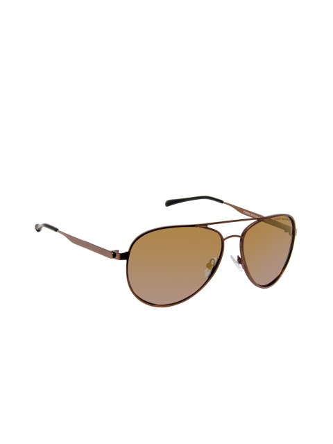 

David Blake Unisex Brown Lens & Brown Aviator Sunglasses - R-RGDB1856-Brown