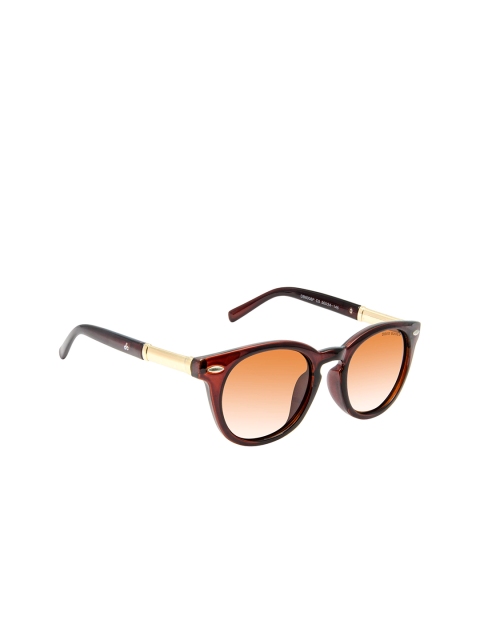 

David Blake Unisex Brown Lens & Brown Round Sunglasses - R-RGDB2076-Brown