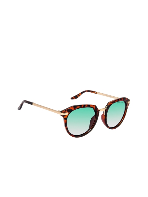 

David Blake Women Green Lens & Brown Oversized Sunglasses - R-RGDB2034-Brown