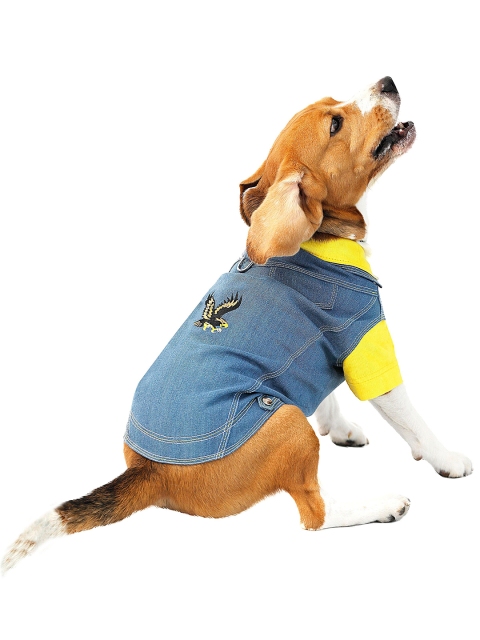 

Dchica Paws Blue & Yellow Self Design Cotton Dog Jacket