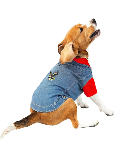 

Dchica Paws Blue & Red Self Design Dog Tuxedo Jacket