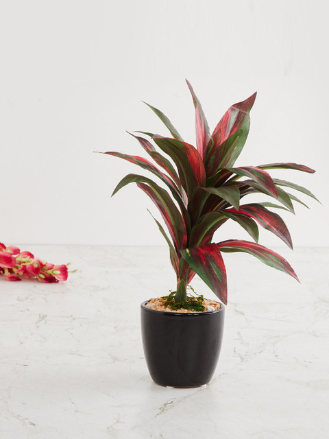 

Home Centre Assorted Artificial Plant With Pot