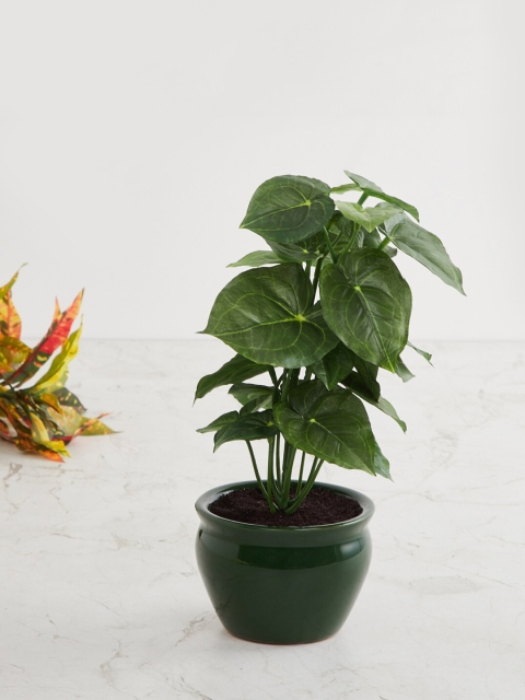 

Home Centre Assorted Artificial Plant With Pot