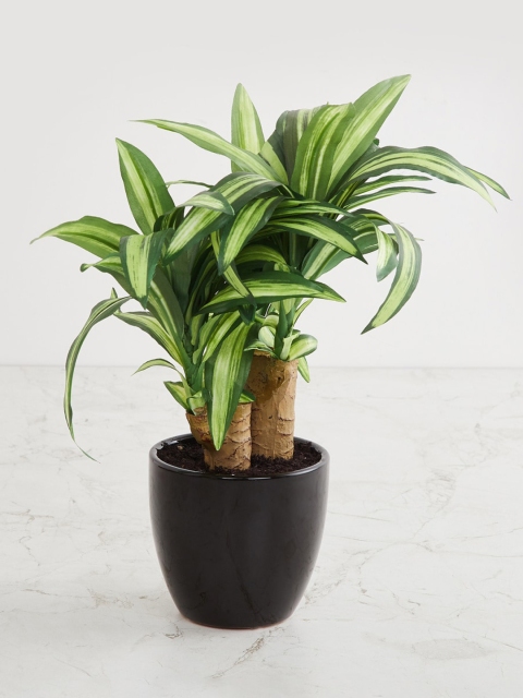 

Home Centre Assorted Artificial Plant With Pot