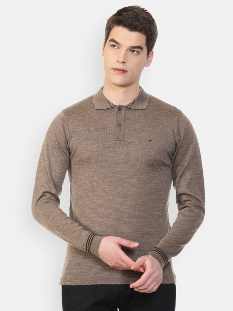 

Louis Philippe Men Brown Solid Polo Collar T-shirt