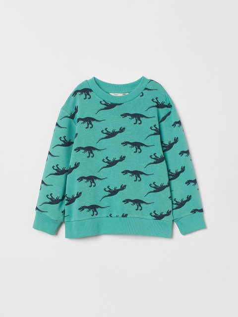 

H&M Boys Green Dinosaur Printed Sweatshirt