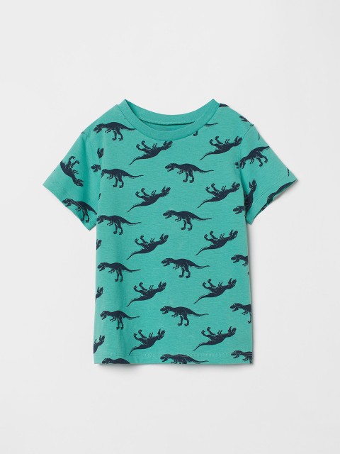 

H&M Boys Green & Blue Printed Cotton Jersey T-shirt