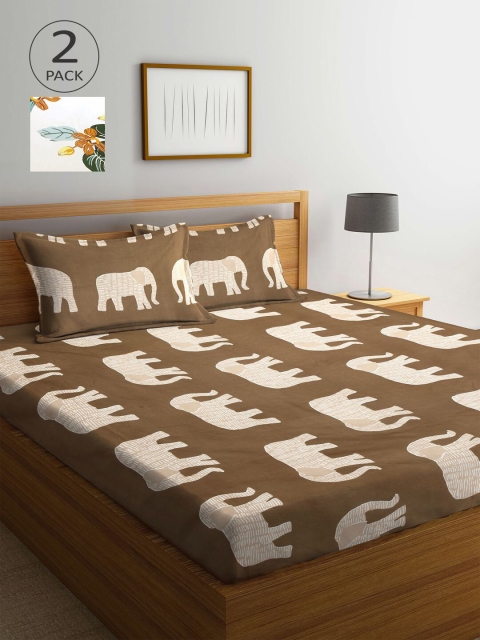 

KLOTTHE Brown & Blue Floral 210 TC 2 King Bedsheet with 4 Pillow Covers