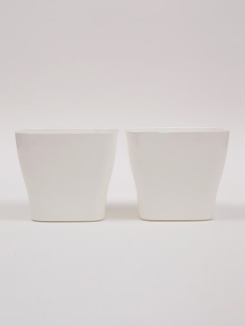 

Ferns N Petals Set Of 2 White Plastic Planters