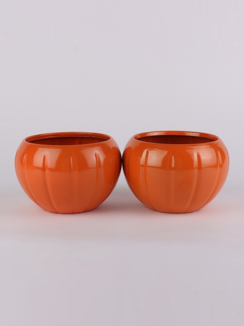 

Ferns N Petals Set of 2 Orange Solid Metal Planters