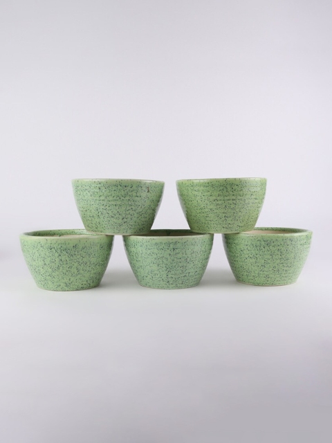

Ferns N Petals Set Of 5 Green & Navy Blue Printed Ceramic Planters