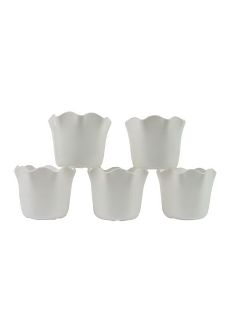 

Ferns N Petals Set Of 5 White Plastic Planter