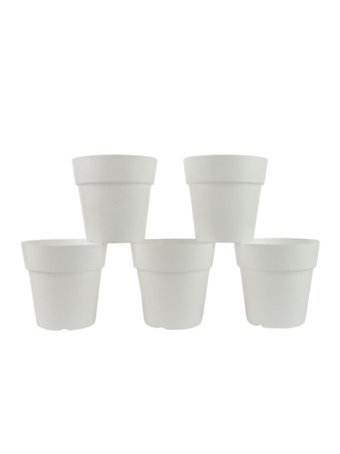 

Ferns N Petals Set Of 5 White Solid Planters