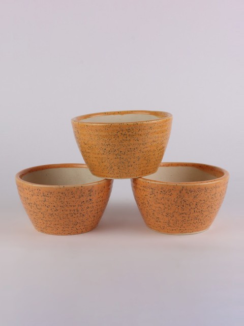 

Ferns N Petals Set Of 3 Ceramic Planters, Brown