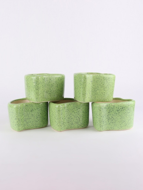 

Ferns N Petals Set Of 5 Green & Black Printed Ceramic Planters