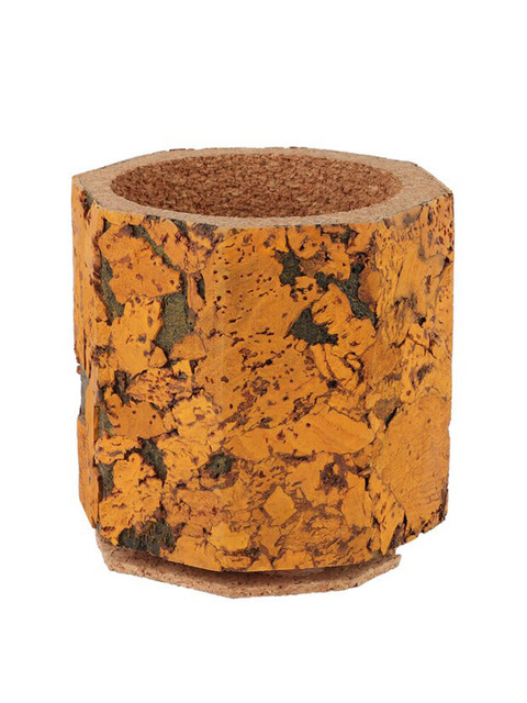 

Ferns N Petals Brown Textured Cork Planter