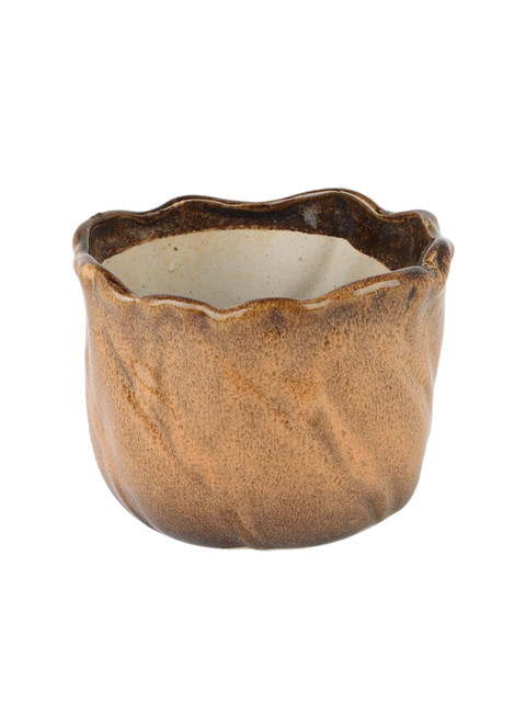 

Ferns N Petals Brown Resin Planter