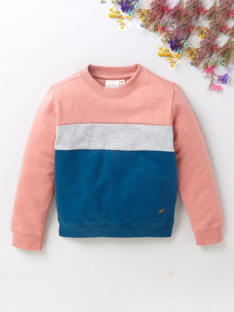 

Ed-a-Mamma Boys Blue & Peach-Coloured Colourblocked Sweatshirt