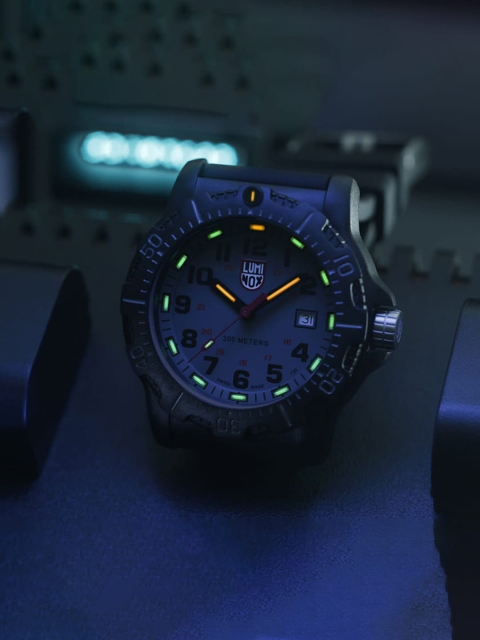 

Luminox Men Grey Dial & Strap Analogue Watch XL 8882 F