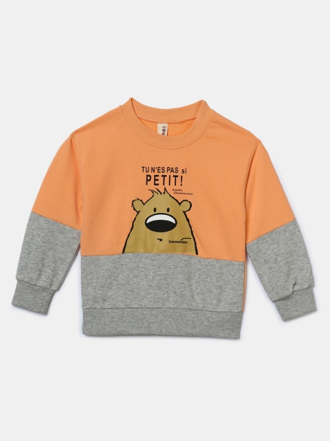 

Hopscotch Boys Orange & Grey Colourblocked Sweatshirt