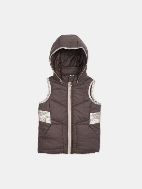 

Cherokee Girls Brown Colourblocked Padded Jacket