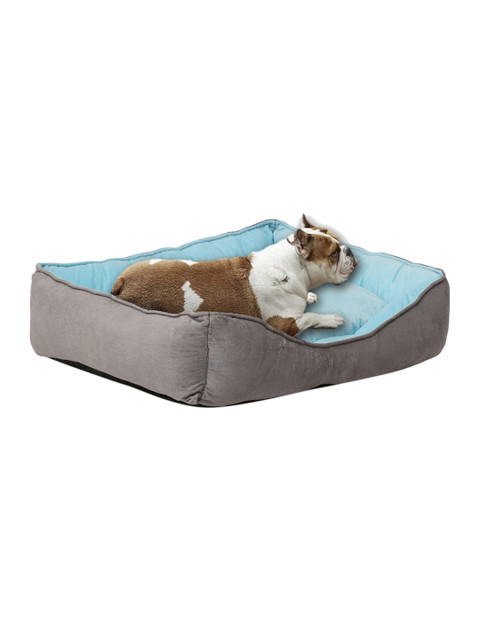 

WIGGLE TWIDDLE Blue & Grey Solid Rectangular Ultra Soft Pet Bed