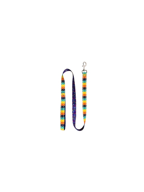 

WIGGLE TWIDDLE Blue & Yellow Printed Reversible Dog Leash