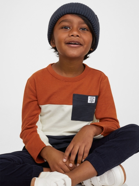 

H&M Boys Blue & Brown 2-pack cotton sweatshirts