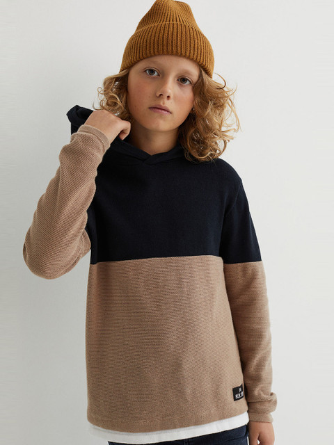 

H&M Women Brown & Black Colourblocked Fine-knit Hooded Sweater