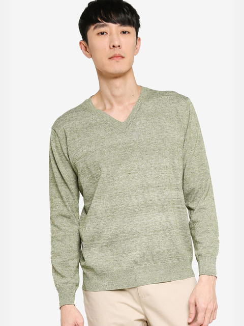 

ZALORA BASICS Men Green V-Neck Jumper